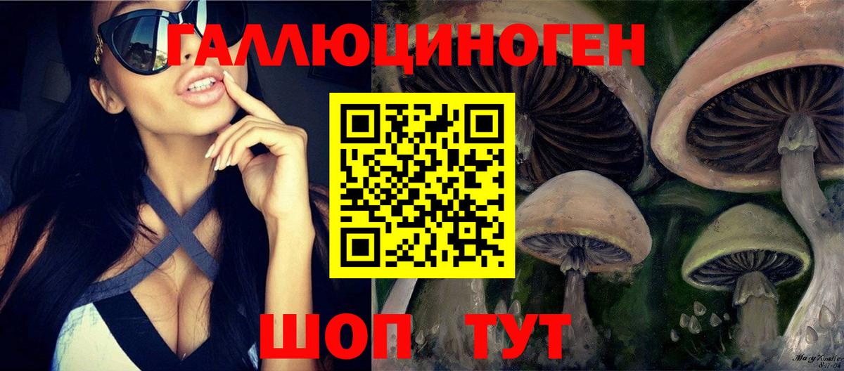 Псилоцибиновые грибы MAGIC MUSHROOMS Волхов