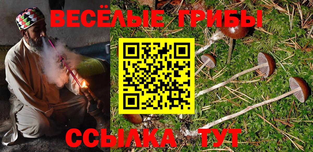 Волхов  Галлюциногенные грибы MAGIC MUSHROOMS  как найти закладки  Вход с VPN  Галлюциногенные грибы Magic Shrooms 